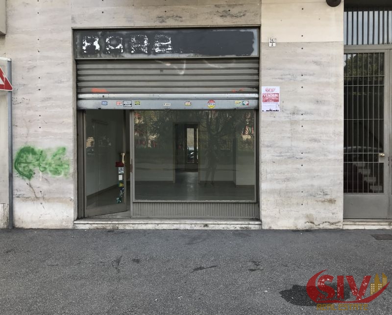 Clicca per ingrandire la foto